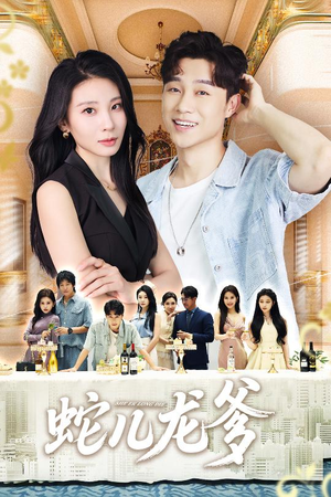 蛇儿龙爹(62集) 蛇儿龙爹(62集)一共多少集