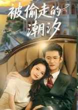 被偷走的潮汐(60集) 被偷走的潮汐(60集)免费看全网短剧