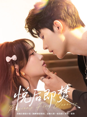 悦后即焚（65集）百度网盘在线看