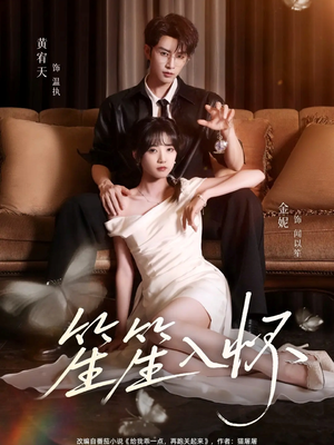 笙笙入怀(108集) 笙笙入怀(108集)剧情简介