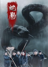 蛇影(25集) 蛇影(25集)爱上了这部剧了