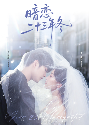 暗恋二十三年冬(60集) 暗恋二十三年冬(60集)古装短剧推荐