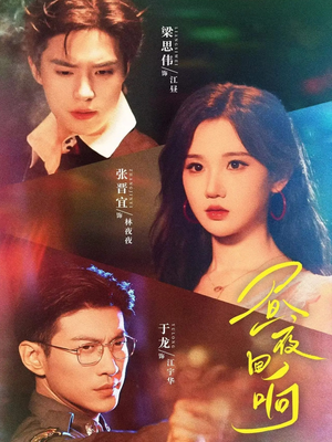 昼夜回响(76集) 昼夜回响(76集)免费看全网短剧