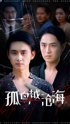 孤鸟越沧海 (60集) 孤鸟越沧海 (60集)直接看到大结局
