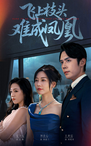 飞上枝头难成凤凰(47集) 飞上枝头难成凤凰(47集)免费热门短剧