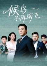 候鸟不再南飞(80集) 候鸟不再南飞(80集)红果免费短剧