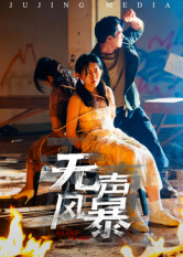 无声风暴(33集) 无声风暴(33集)女频短剧推荐