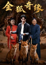 金狐奇缘(42集) 金狐奇缘(42集)在哪里看