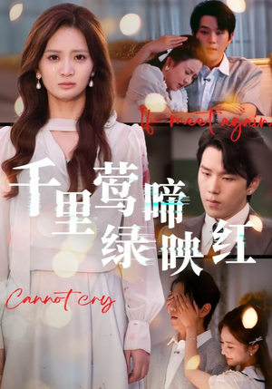 千里莺啼绿映红（63集）好看的短剧推荐