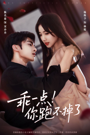 乖一点！你跑不掉了（80集）短剧抢先看