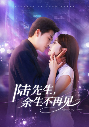 陆先生，余生不再见（88集）不用花钱看全剧