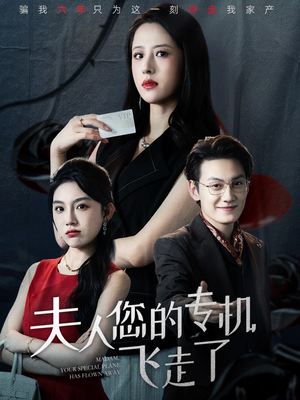 夫人您的专机飞走了(62集) 夫人您的专机飞走了(62集)第一季