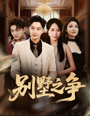 别墅之争(59集) 别墅之争(59集)演员表