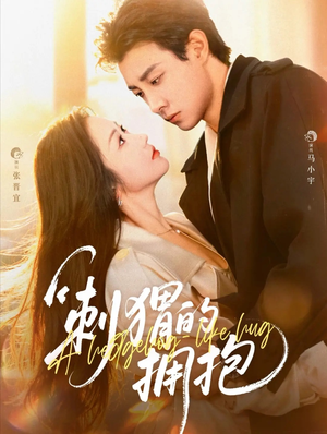 刺猬的拥抱（71集）精彩的网络短剧
