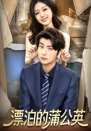 漂泊的蒲公英（60集）短剧也太好看了