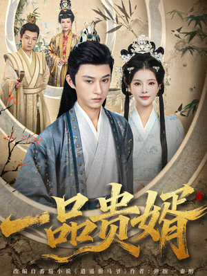 一品贵婿（80集）熬夜追短剧