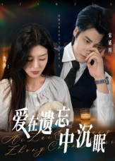 爱在遗忘中沉眠(62集) 爱在遗忘中沉眠(62集)最火短剧热播