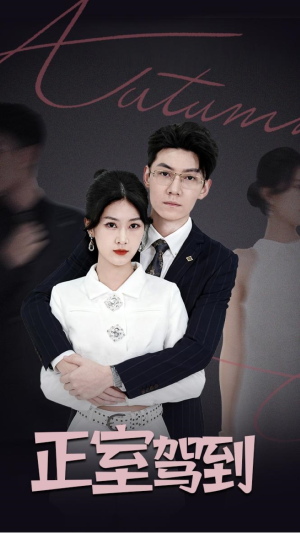 正室驾到(35集) 正室驾到(35集)80到100集