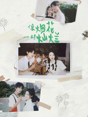 像烟花一样灿烂(60集) 像烟花一样灿烂(60集)热门短剧在线看