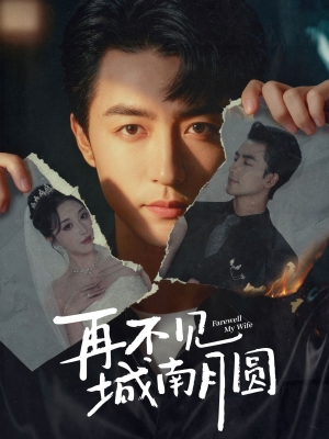 再不见城南月圆(60集) 再不见城南月圆(60集)爆火短剧追不停