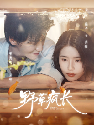 野草疯长(71集) 野草疯长(71集)最热门短剧来了
