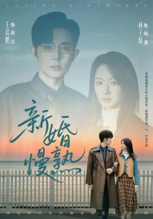 新婚慢熟(105集) 新婚慢熟(105集)短剧免费看