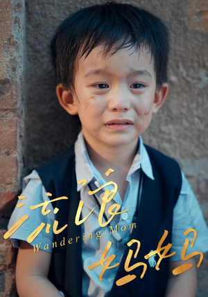 流浪妈妈(30集) 流浪妈妈(30集)免费观看就是爽