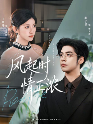 风起时情正浓（79集）免费在线看