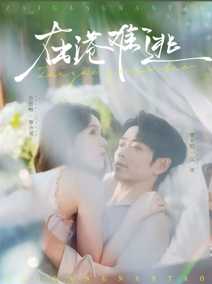 在港难逃(75集) 在港难逃(75集)热播短剧全集看