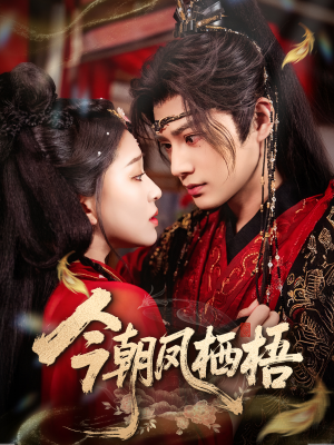 今朝凤栖梧（68集）剧情简介