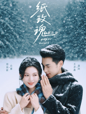 纸玫瑰第二部(80集) 纸玫瑰第二部(80集)更新时间