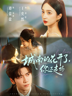 城南的花开了，你还走吗（84集）热门短剧追不停