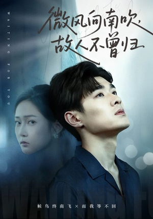微风向南吹,故人不曾归(72集) 微风向南吹,故人不曾归(72集)短剧太好看
