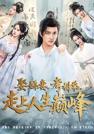 娶娇妻，考科举，走上人生巅峰（80集）经典回顾免费看