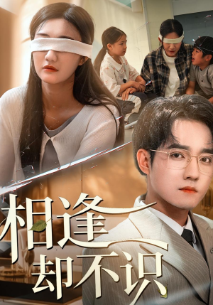 相逢却不识(77集) 相逢却不识(77集)好短剧分享