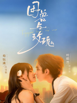 困兽与玫瑰（90集）零花钱看整部剧