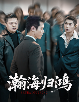 瀚海归鸿(74集) 瀚海归鸿(74集)热门短剧看不停