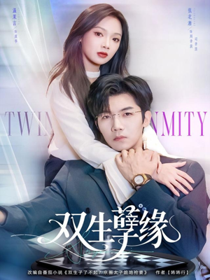双生孽缘（80集）评价怎么样