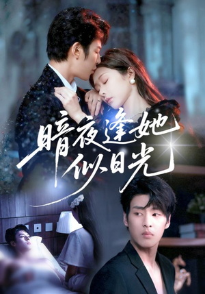 暗夜逢她似日光（72集）短剧小说在线看