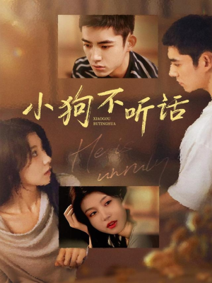 小狗不听话(70集) 小狗不听话(70集)精彩短剧来袭