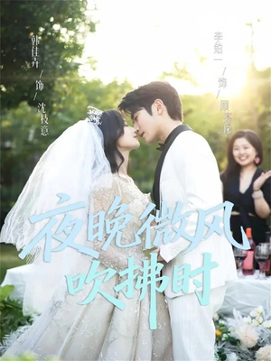 夜晚微风吹拂时（61集）经典老剧免费看