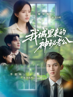 我城里来的神秘老公(30集) 我城里来的神秘老公(30集)全集在线看