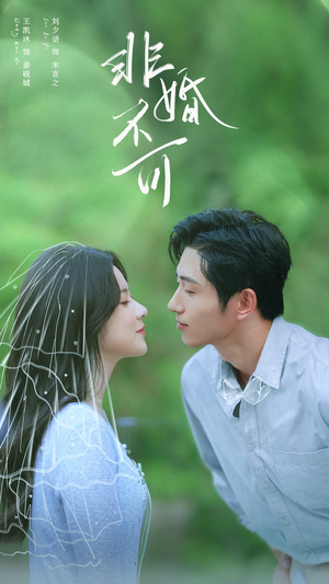 非婚不可(65集) 非婚不可(65集)短剧介绍