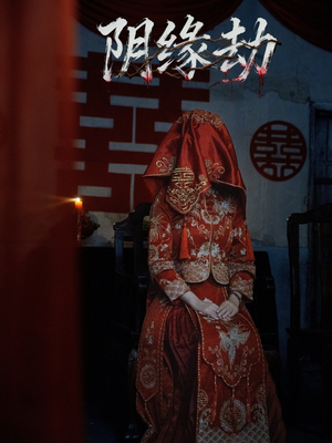 阴缘劫(25集) 阴缘劫(25集)口碑之选免费看