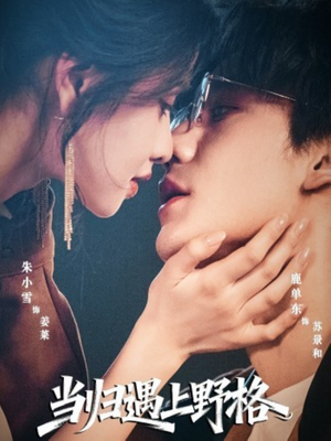 当归遇上野格（66集）真的太好看了