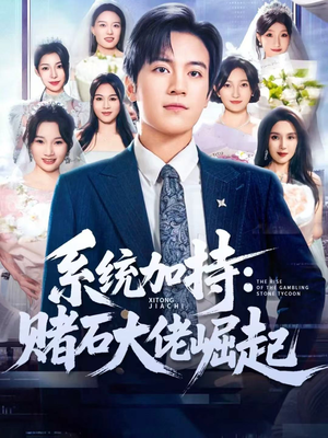 统加持：赌石大佬崛起（77集）80到100集