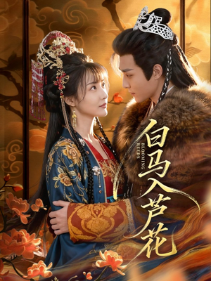 白马入芦花（59集）一个短剧看全集