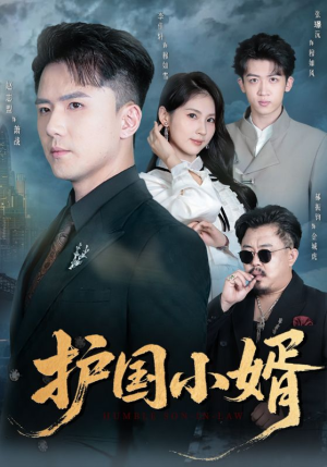 护国小婿（60集）看短剧放松一下