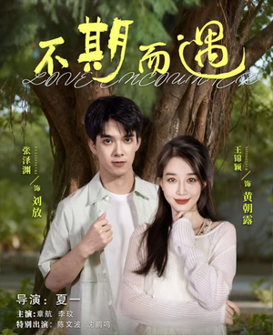 不期而遇(62集) 不期而遇(62集)一口气看完