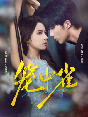 笼中雀(65集) 笼中雀(65集)在哪里可以全集